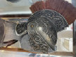 website007001.jpg