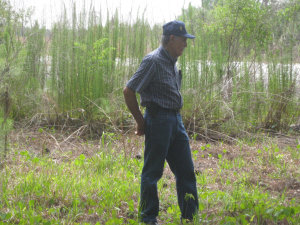 website014007.jpg