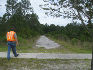 website014009.jpg
