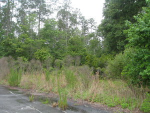 website014011.jpg
