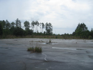 website014012.jpg