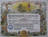 website026001.jpg