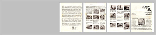 website026006.jpg