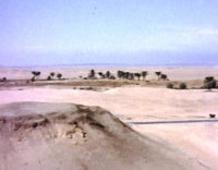 website042003.jpg